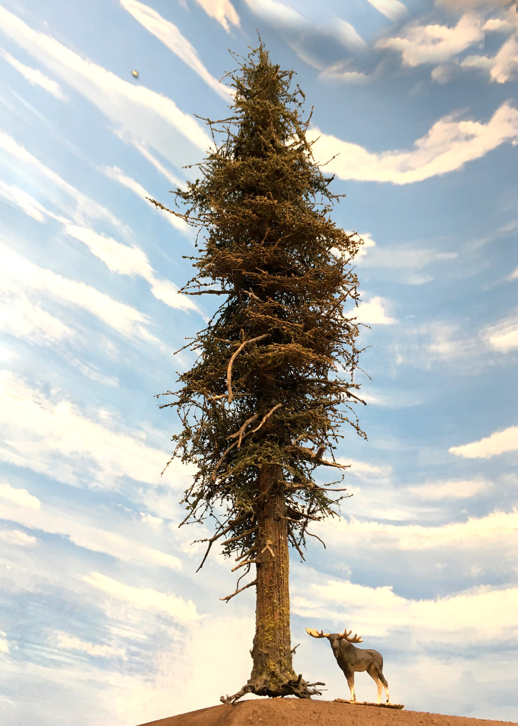 Premium Fir Tree - 13 Inches