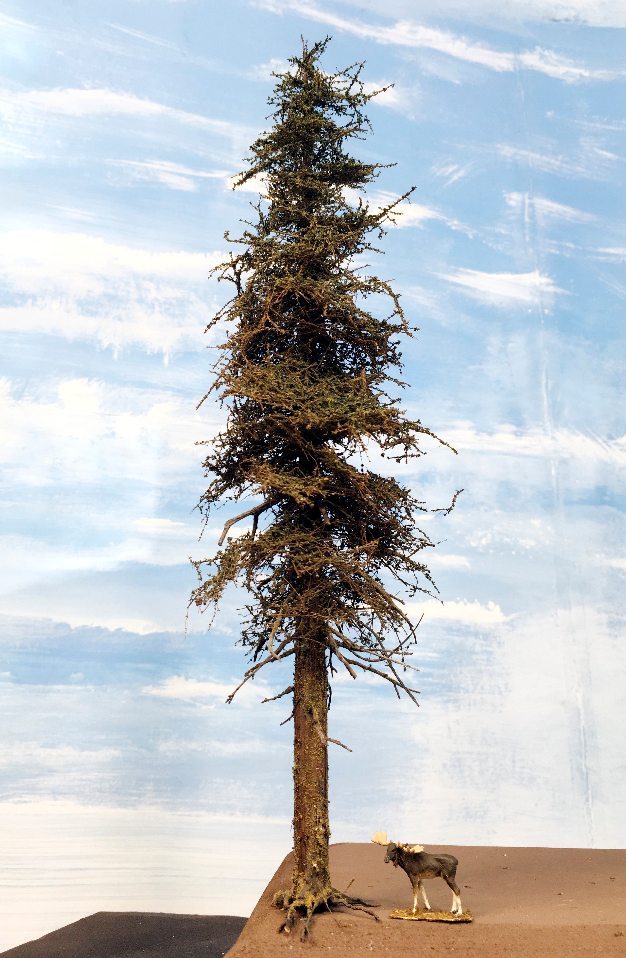 Premium Fir Tree - 13 Inches
