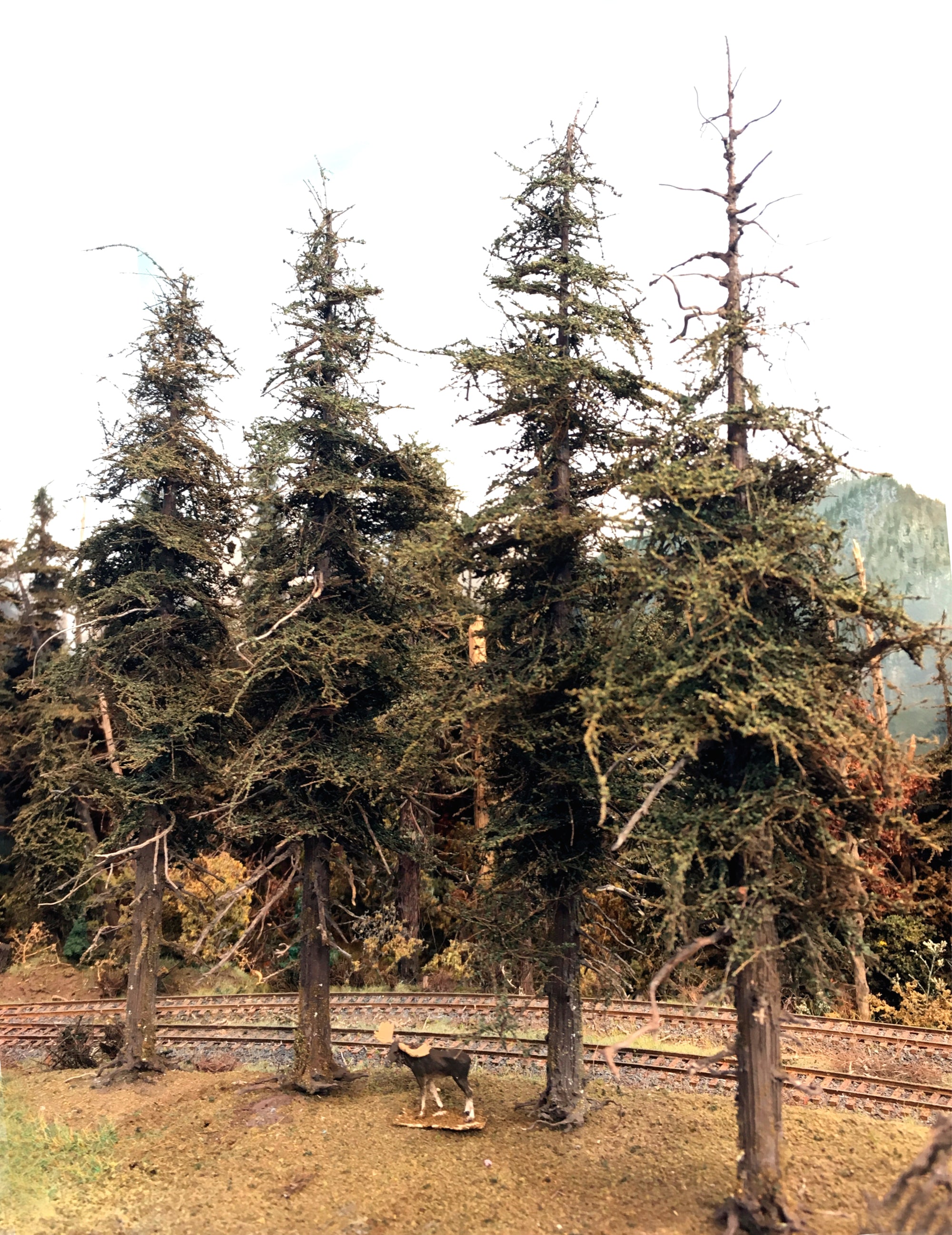 Premium Fir Tree - 13 Inches