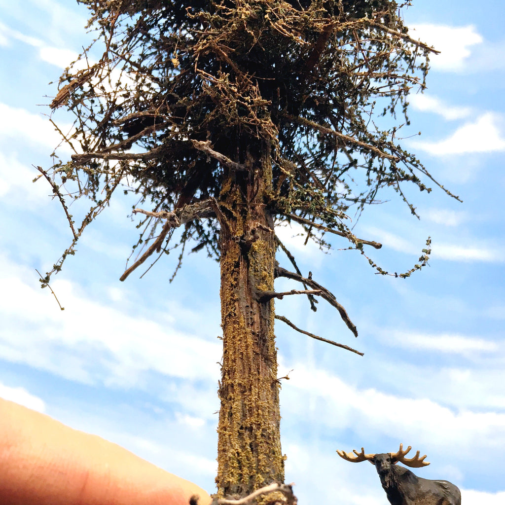 Premium Fir Tree - 13 Inches