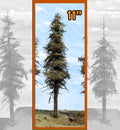 Premium Fir Tree - 11 Inch
