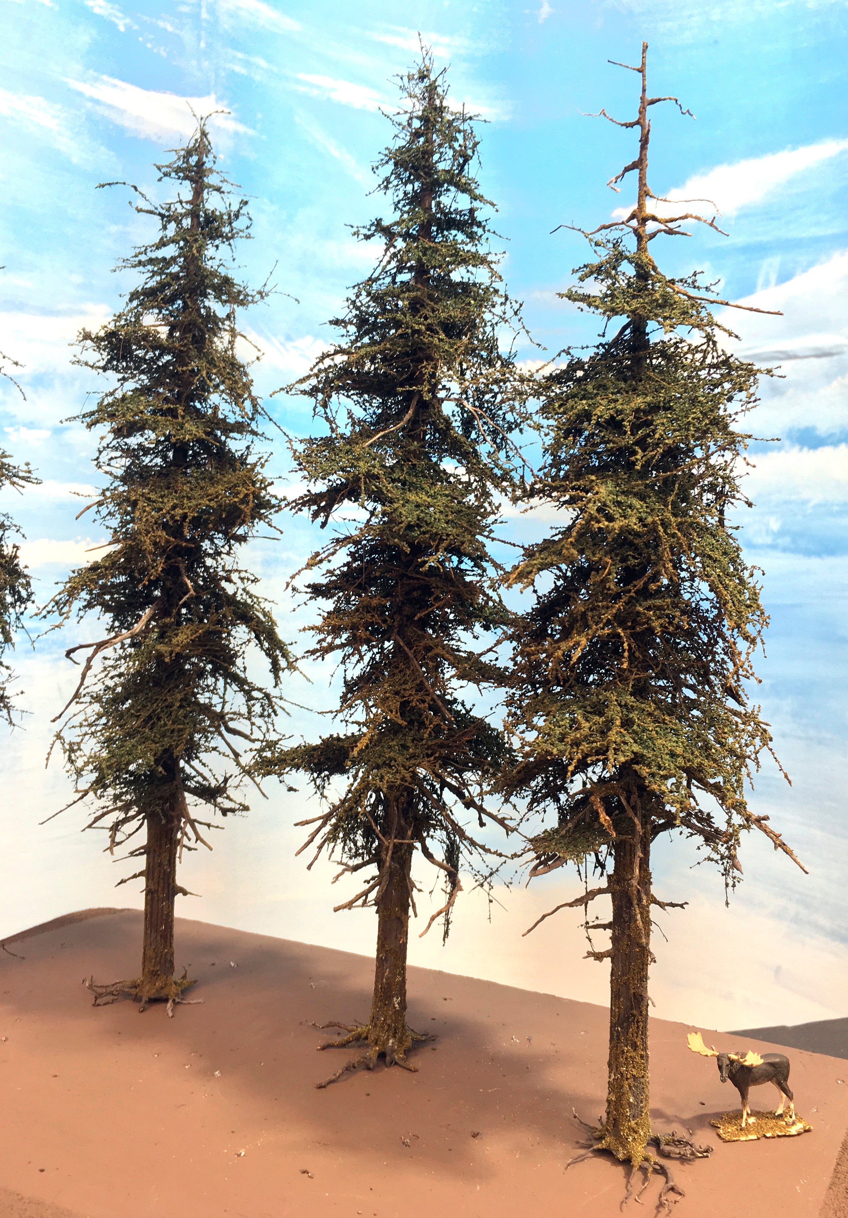 Premium Fir Tree - 11 Inch