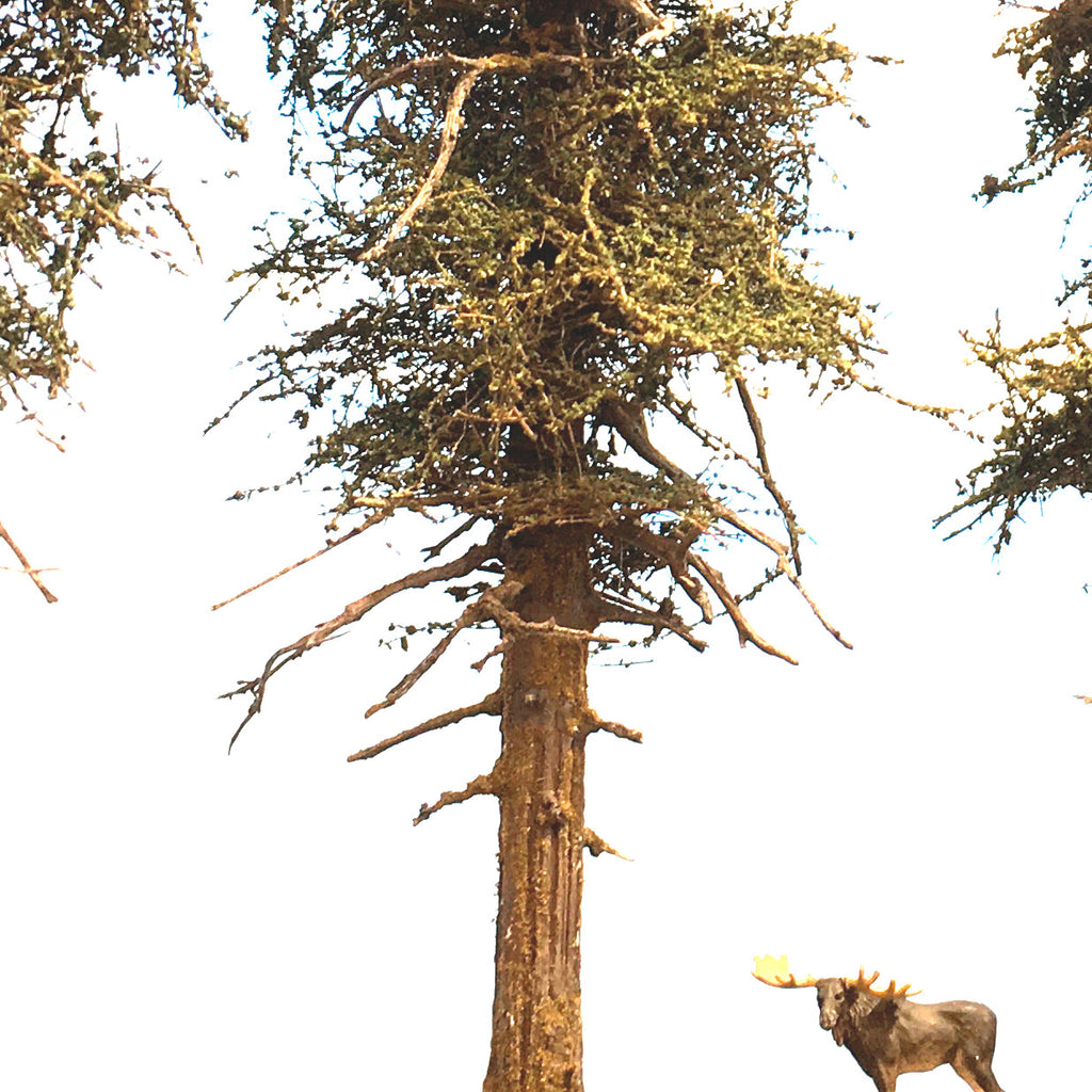 Premium Fir Tree - 11 Inch