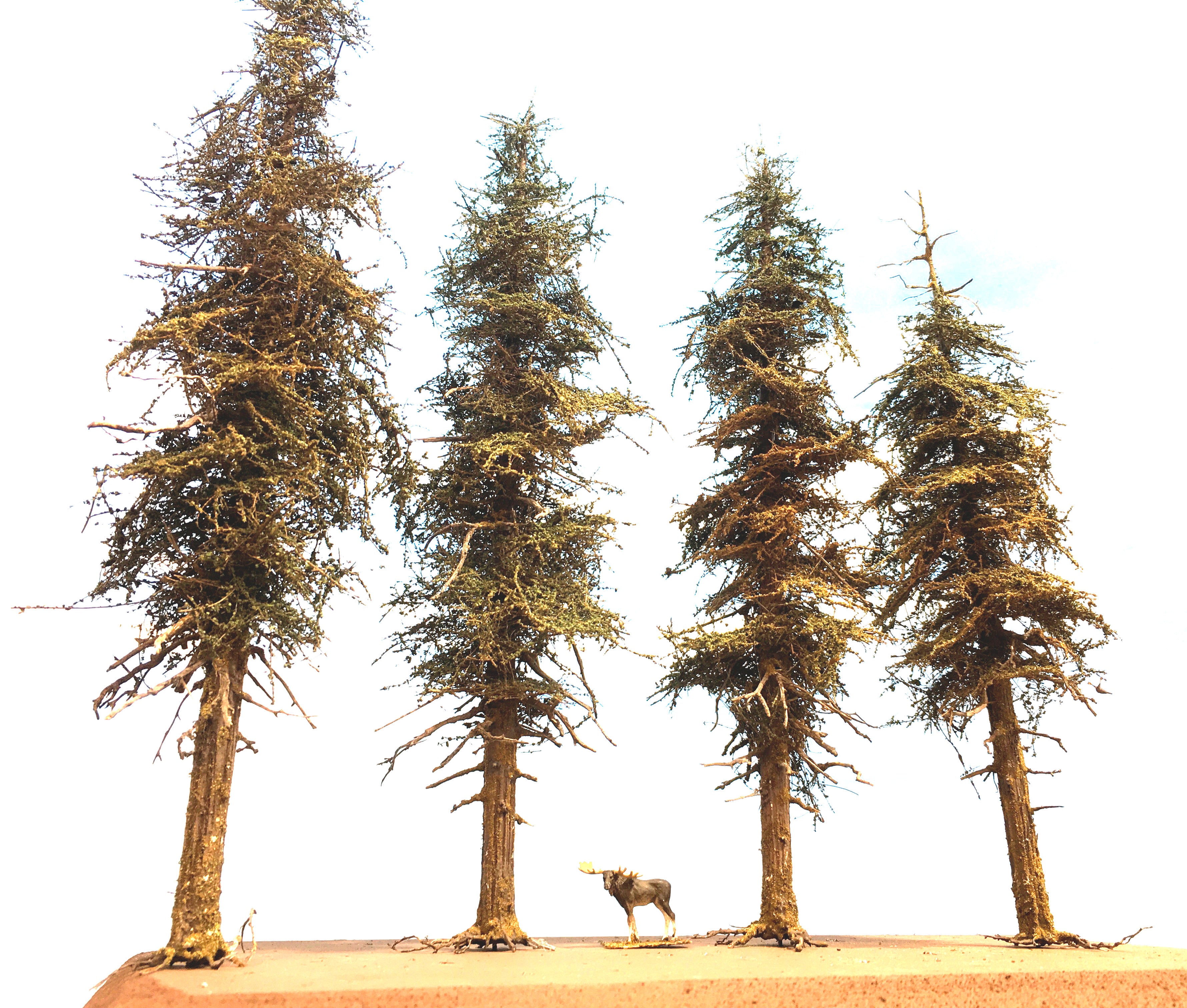 Premium Fir Tree - 11 Inch
