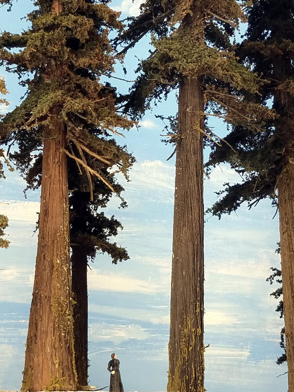 20 Inch Medium Detail Fir Tree