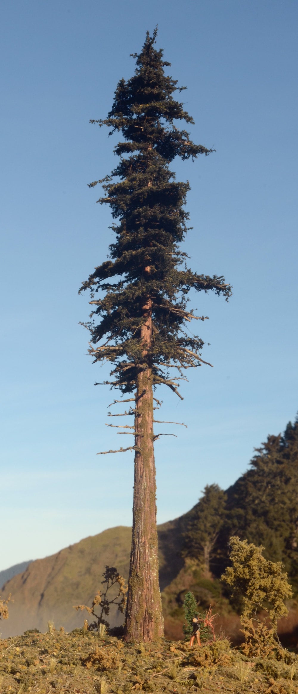 20 Inch Medium Detail Fir Tree