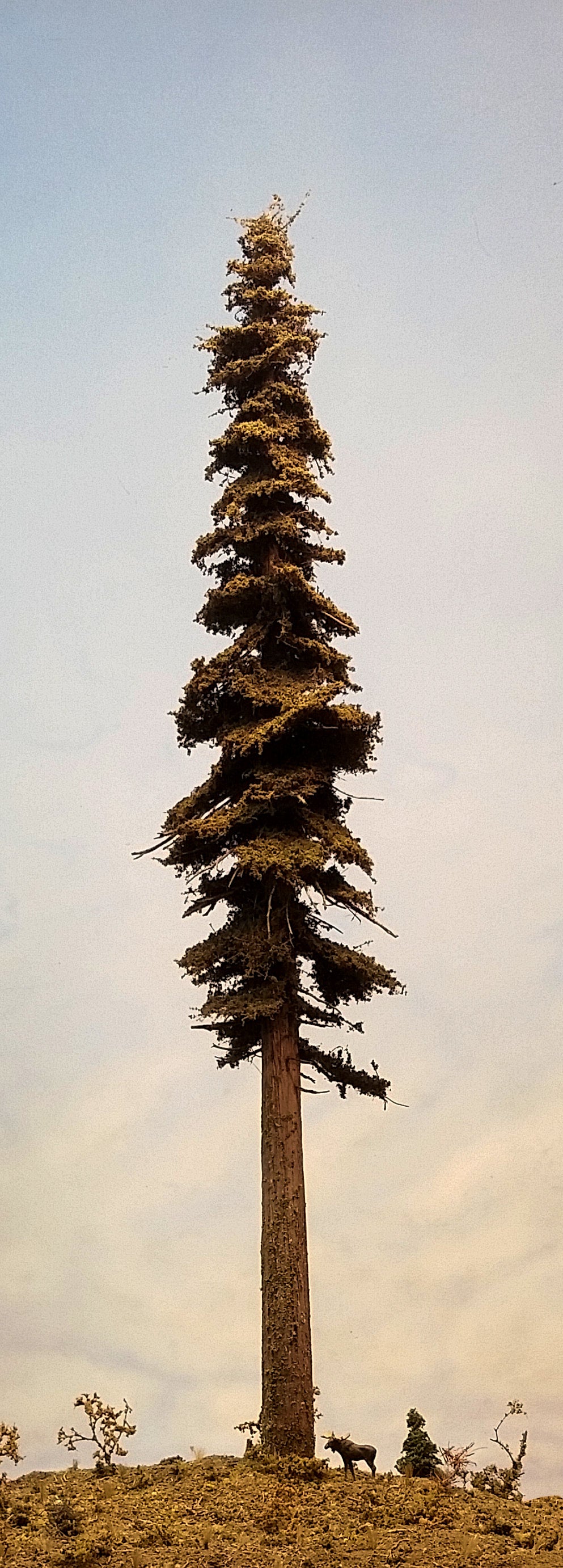 18 Inch Medium Detail Fir Tree