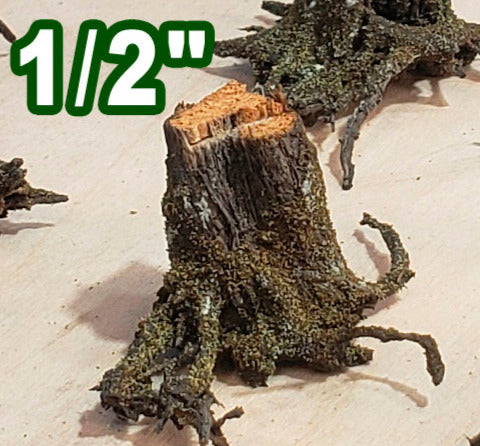 Combo Stumps, Fresh-Cut, Three