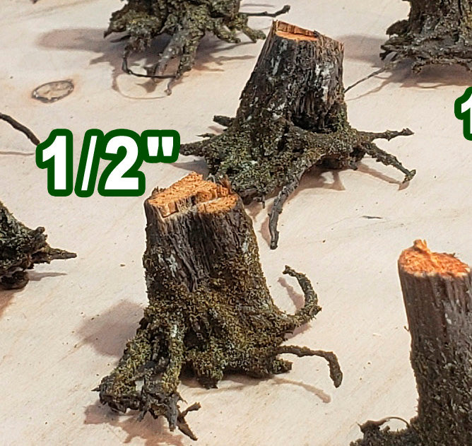 Stumps, 1/2", Chainsaw-Fresh-Cut, Three