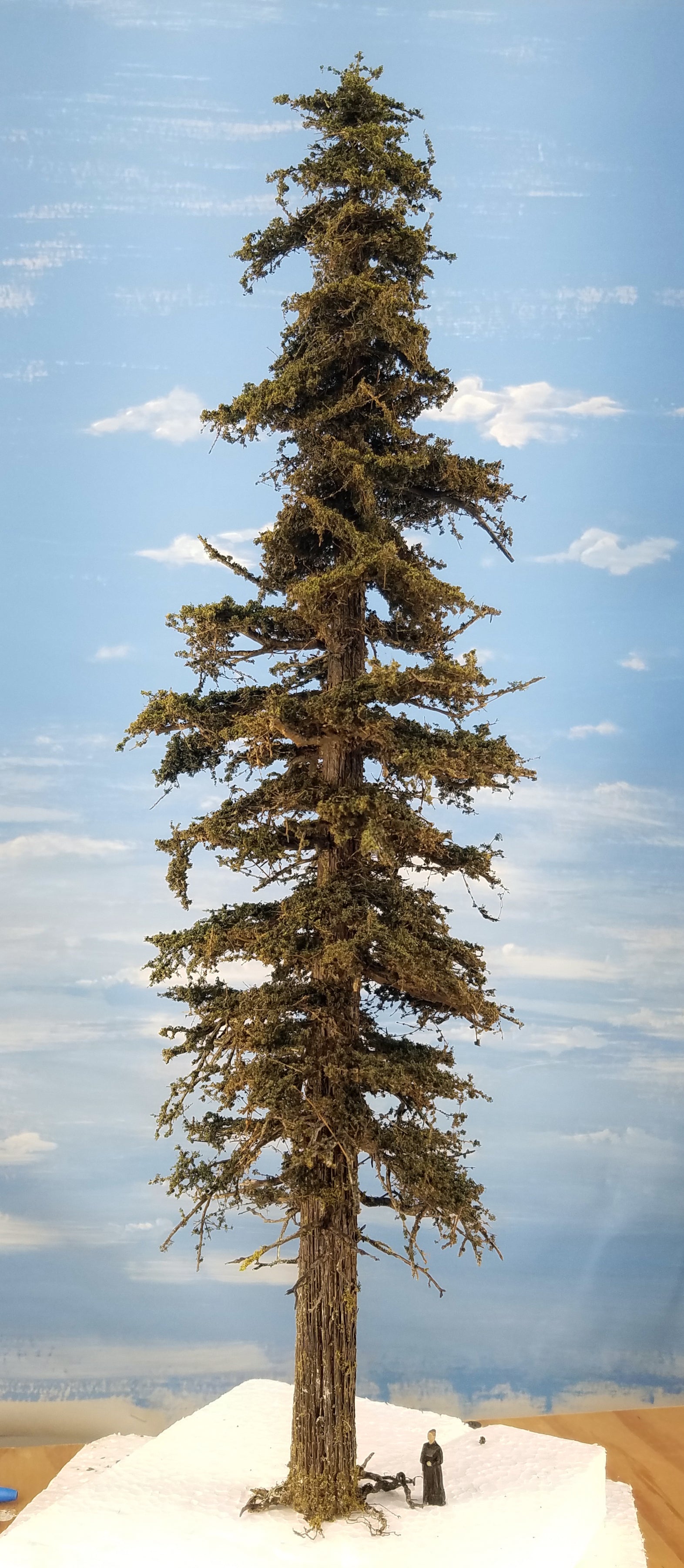 20 Inch Maximum Detail Fir