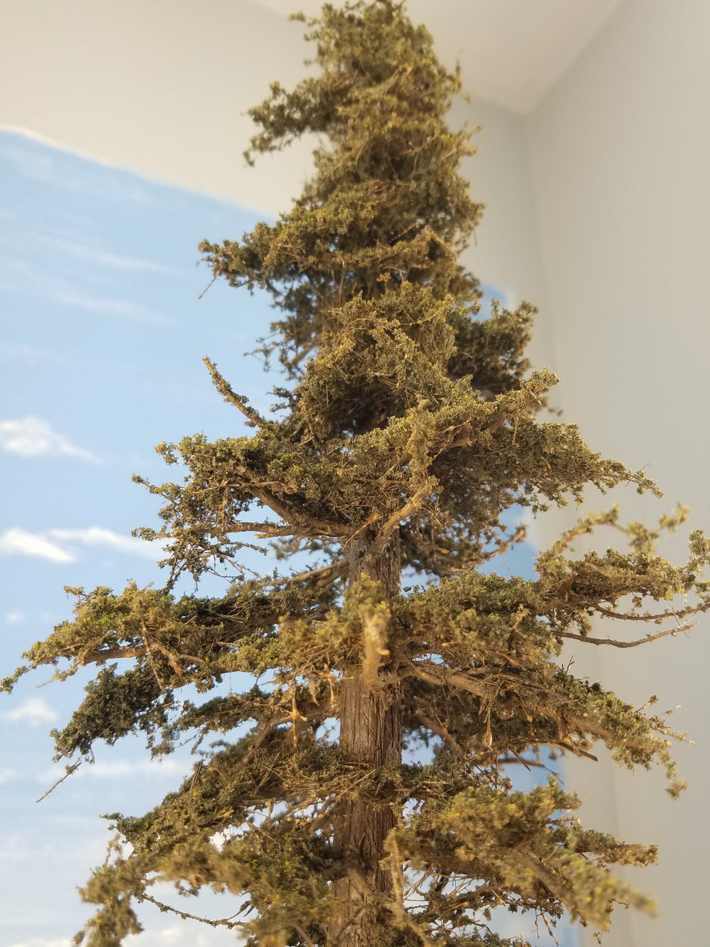 18 Inch Maximum Detail Fir