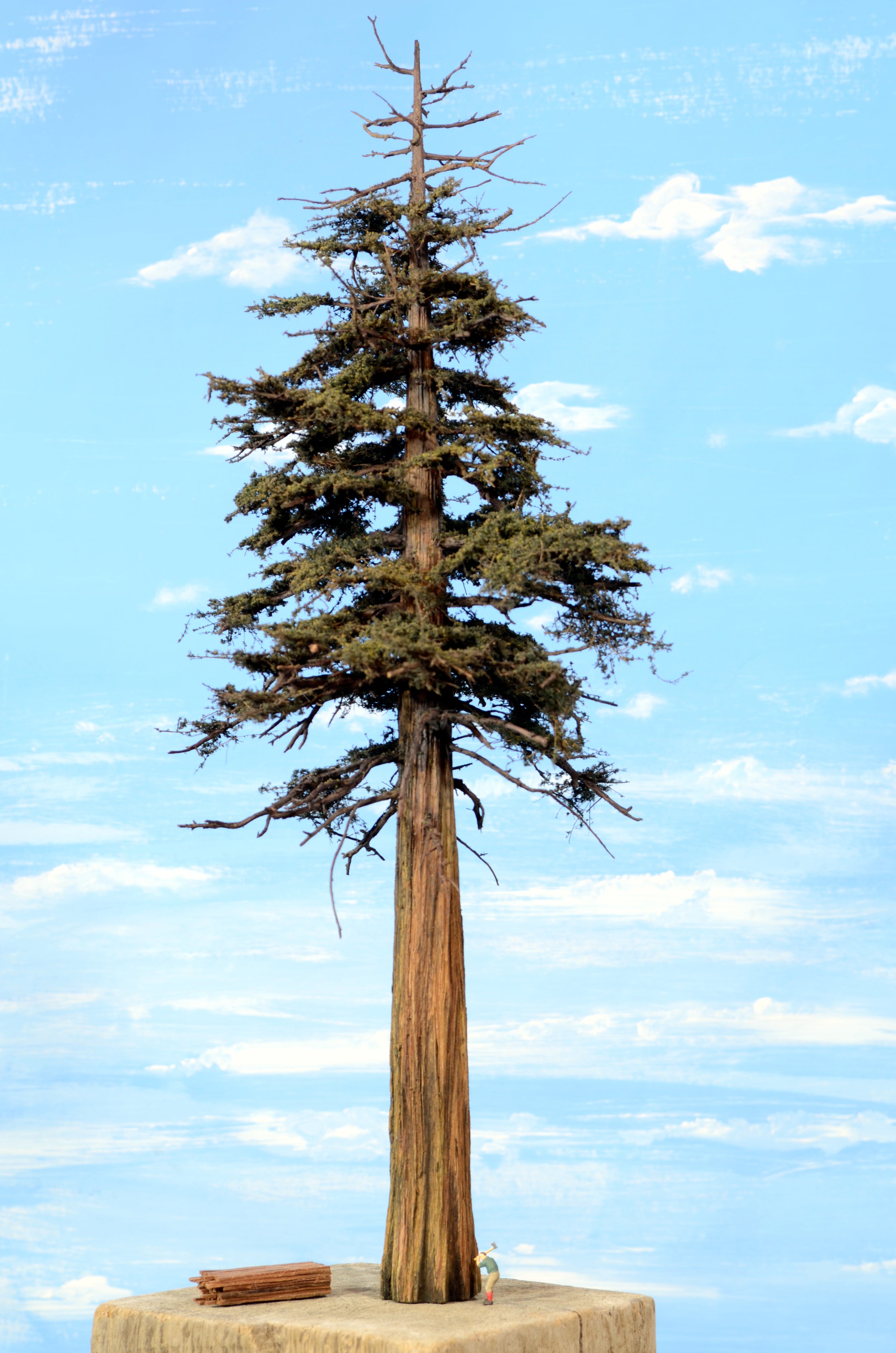 Redwood Tree 20 Inch
