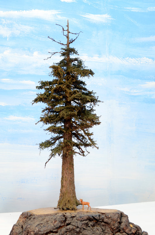 Redwood Tree 18 Inch