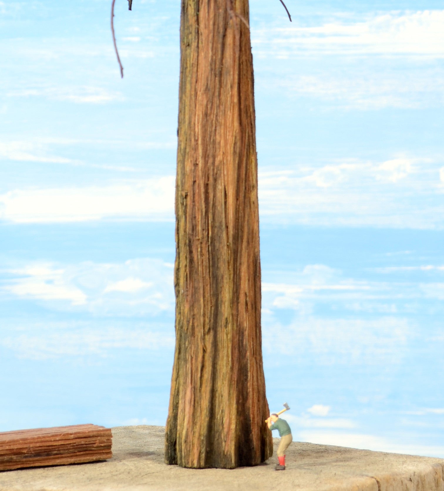 Redwood Tree 18 Inch