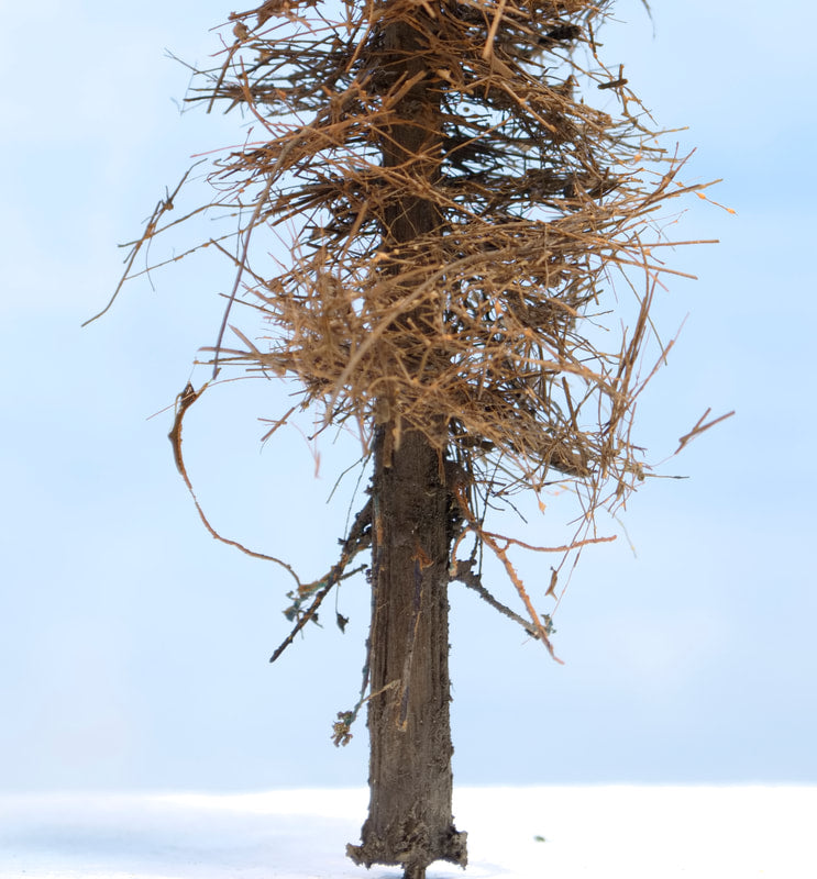 Fire Damage - Insect Infested -  9 Inch