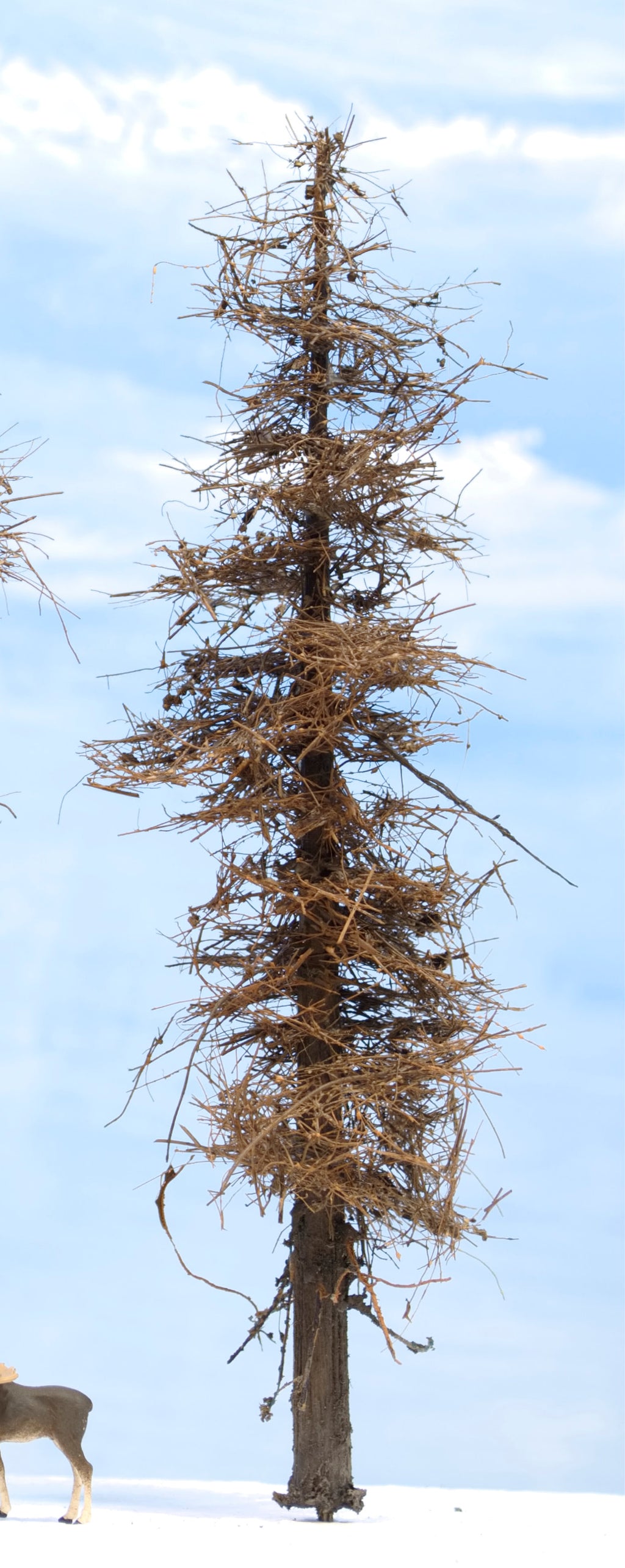 Fire Damage - Insect Infested -  11 Inch