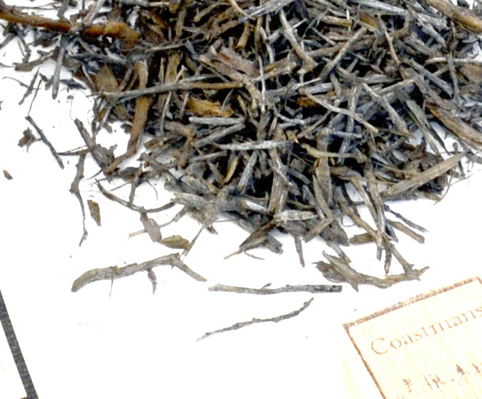 Trunks, Bamboo, 6 Inch, qty 20