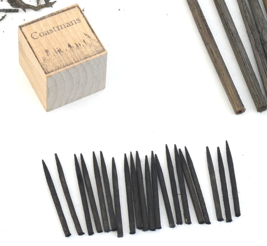 Trunks, Bamboo, 6 Inch, qty 20