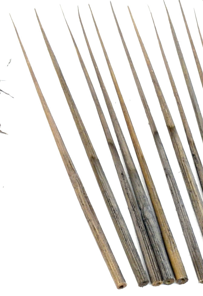 Trunks, Bamboo, 6 Inch, qty 20