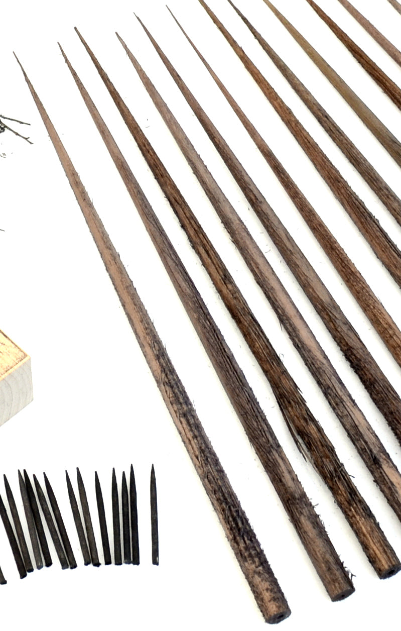 Trunks, Cedar, 9 Inch, qty 15