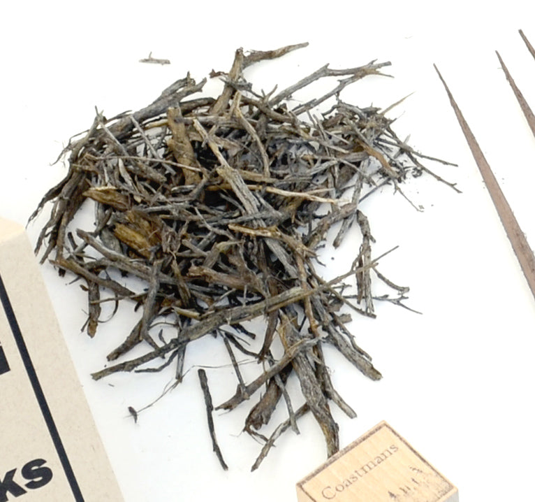 Trunks, Cedar, 9 Inch, qty 15