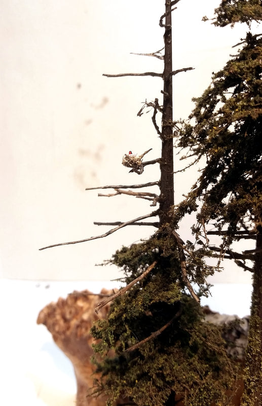 Tiny Bird's Nest 1/4" - Five