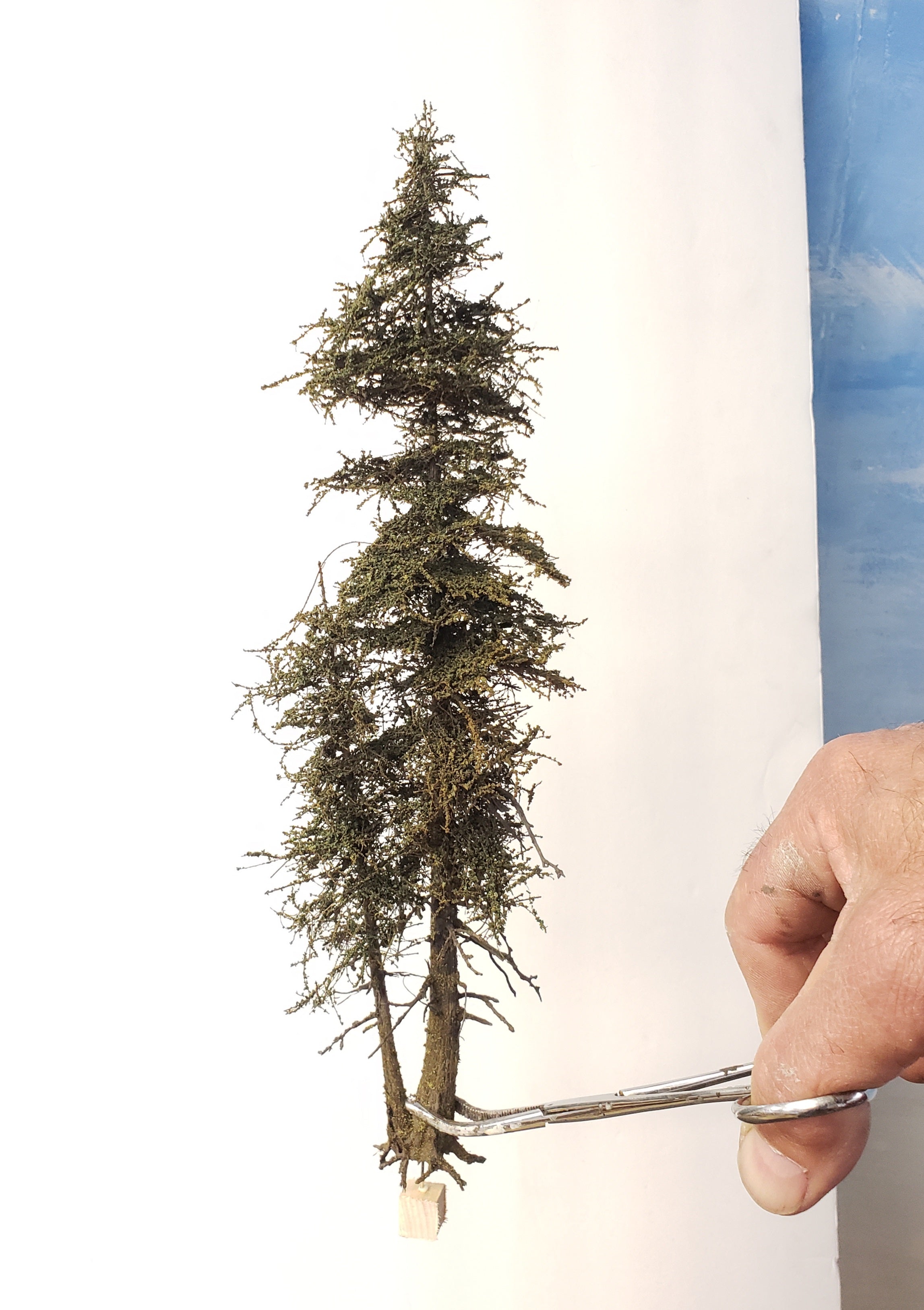 Double Trunk Tree - 11 Inch