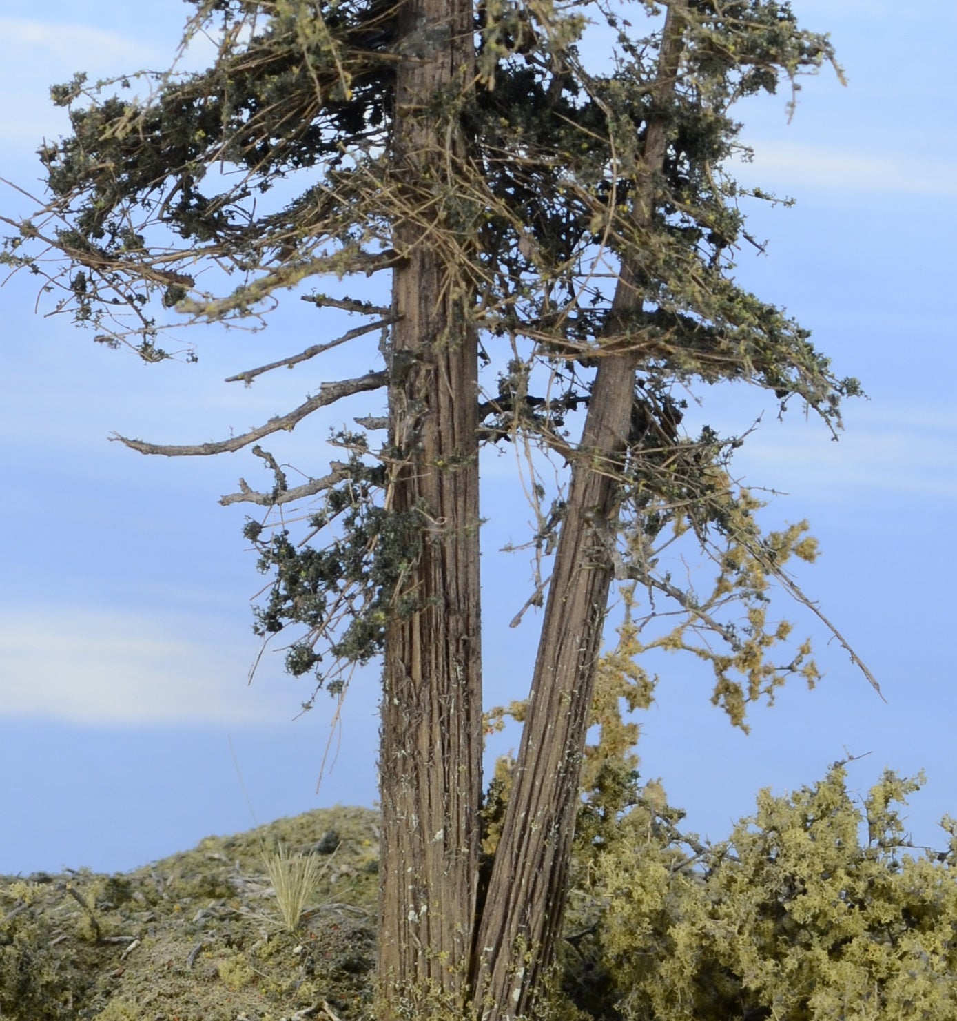 Double Trunk Tree - 11 Inch