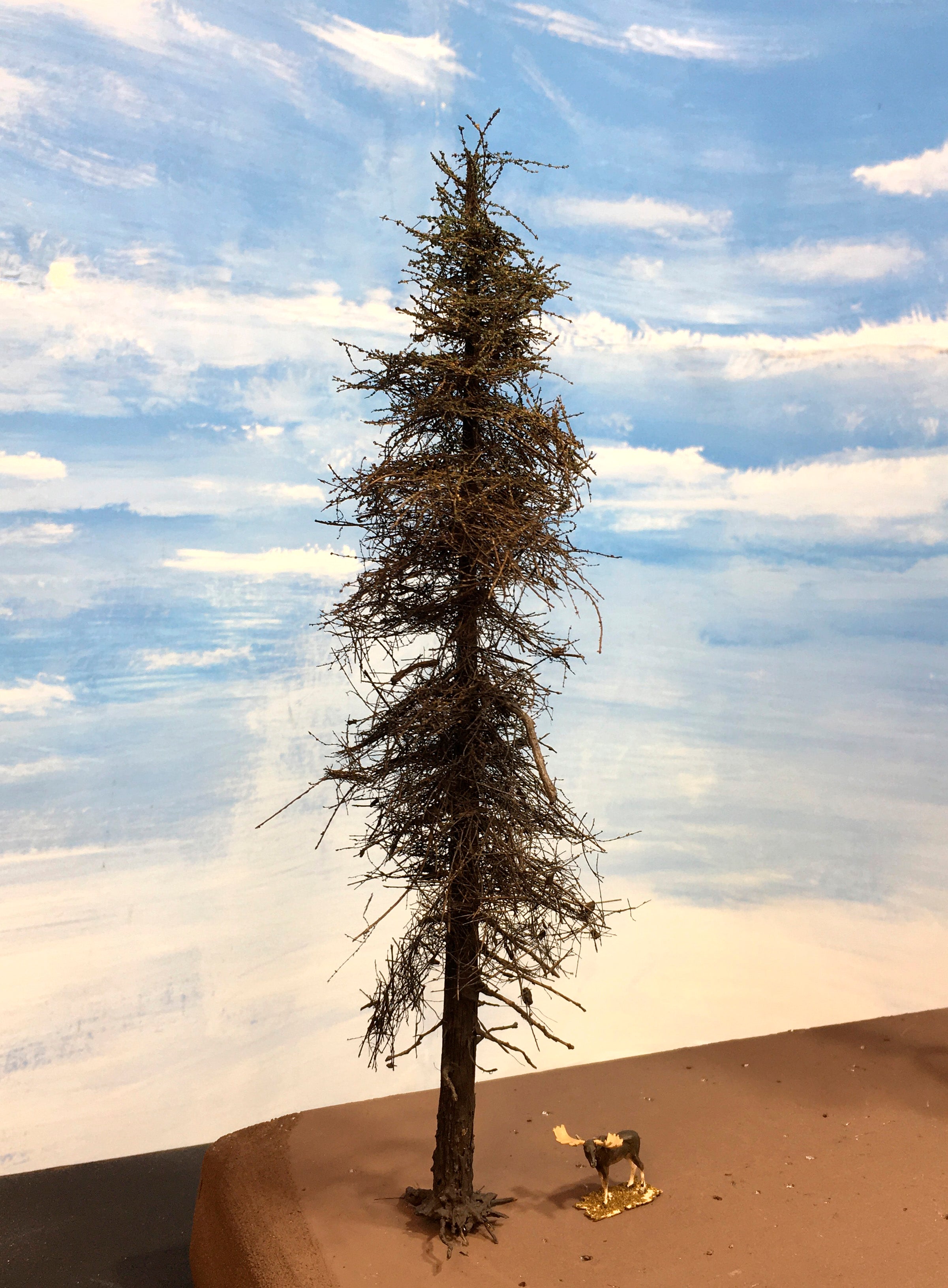 Fire Damaged Insect Infested 13 Inch Fir Tree