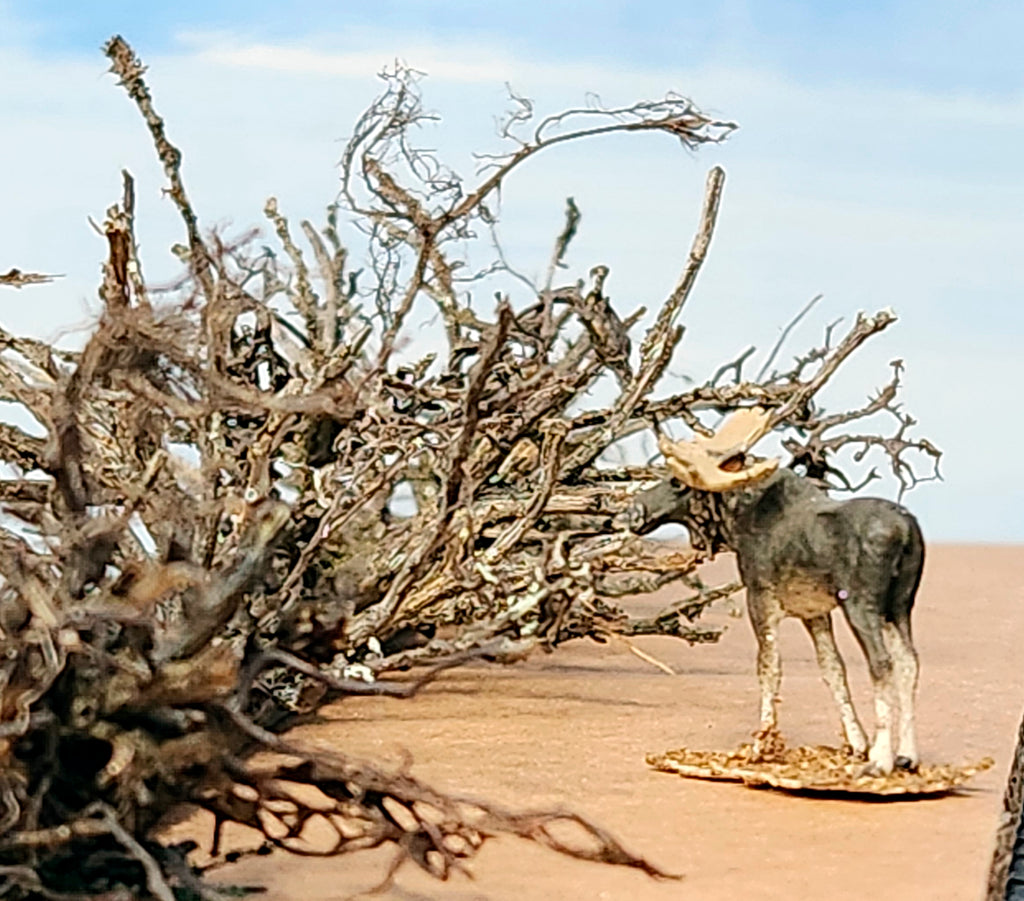 Lying Snag - 11 Inch