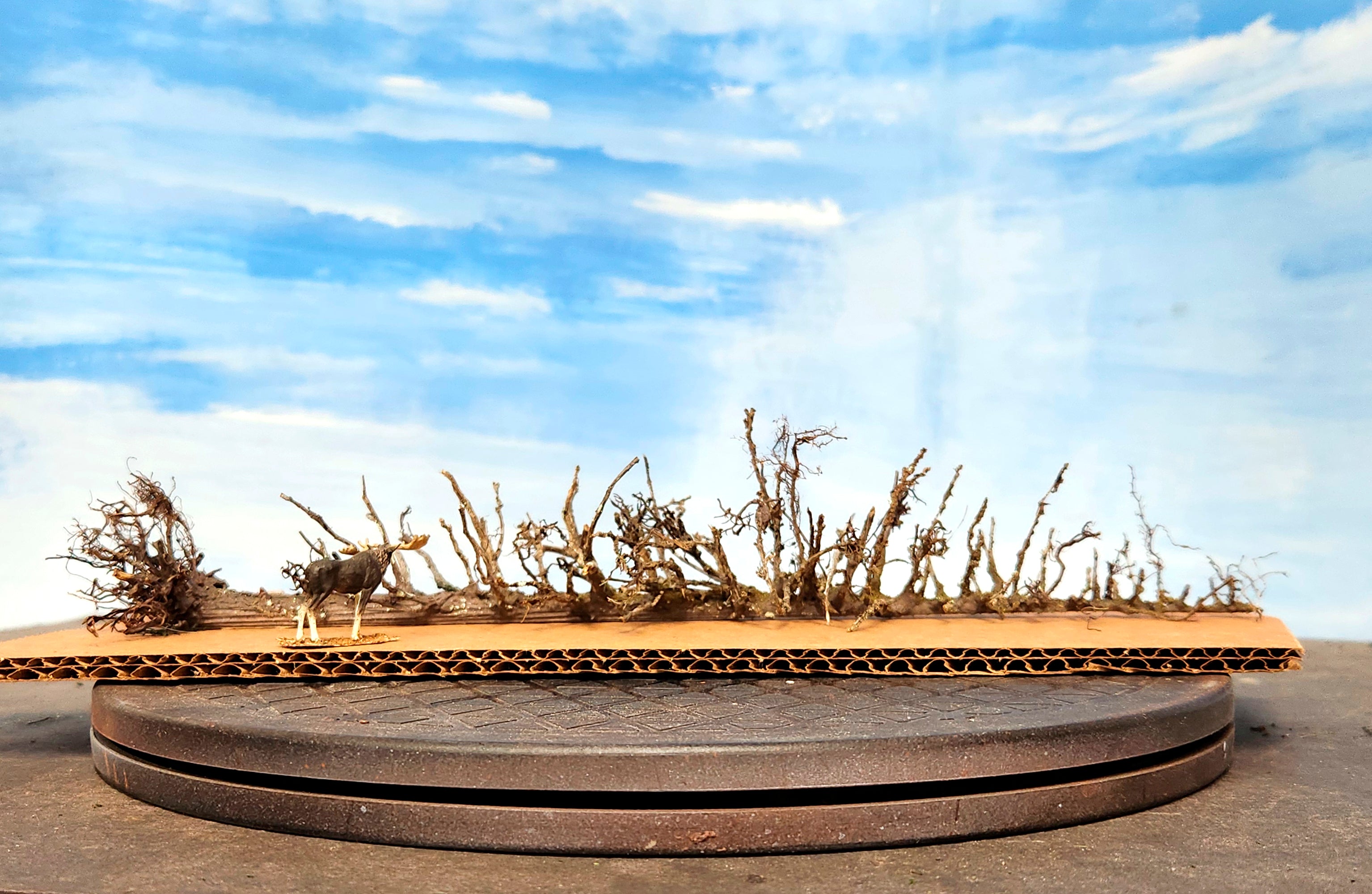 Lying Snag - 11 Inch