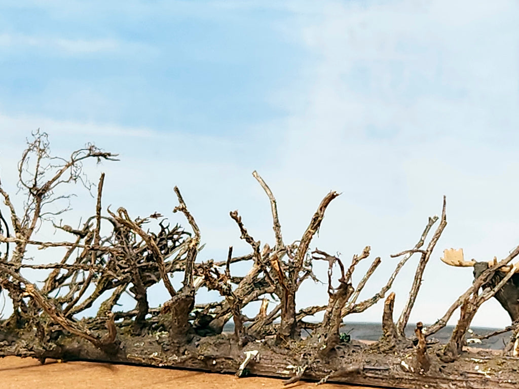 Lying Snag - 11 Inch