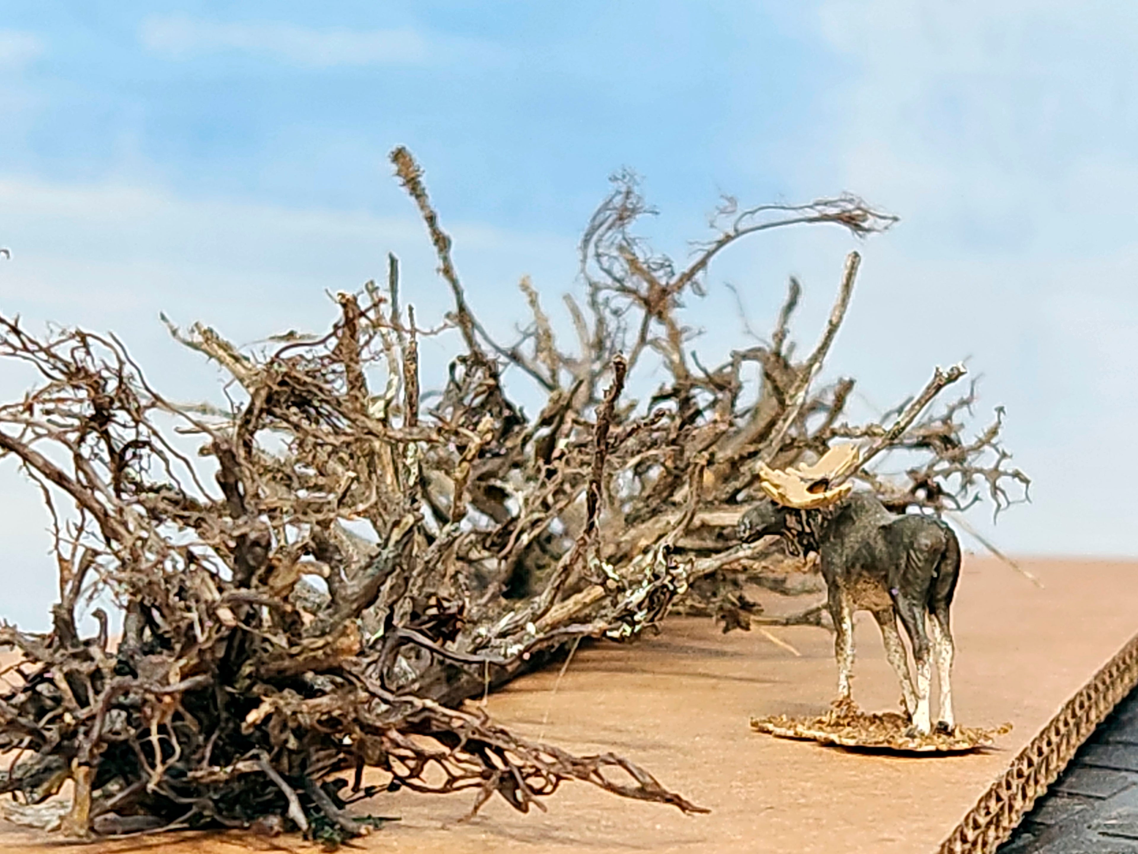 Lying Snag - 11 Inch