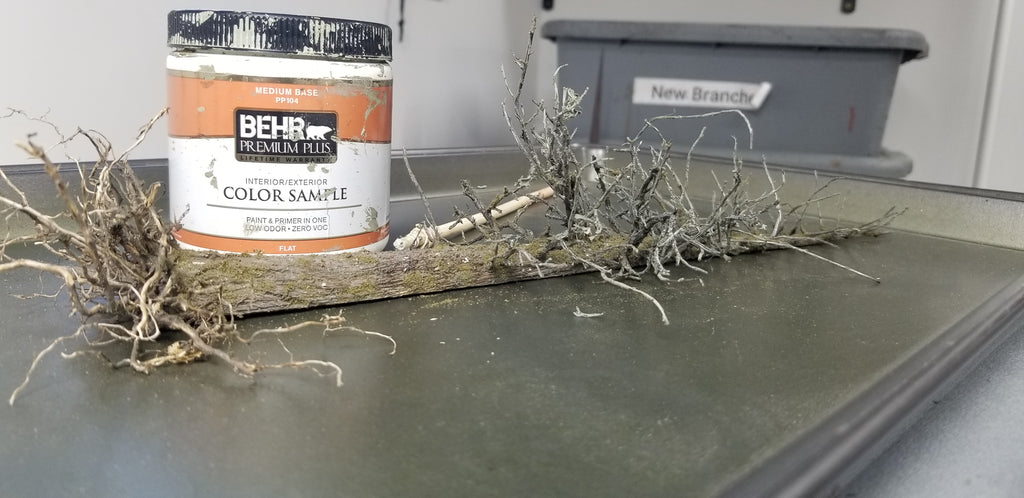 Lying Snag - 13 Inch