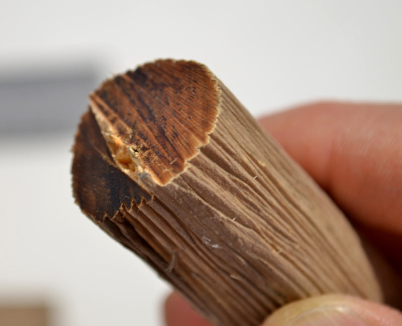 Logs: 5/8" to 3/4"+  diameter and length 12" to 14"