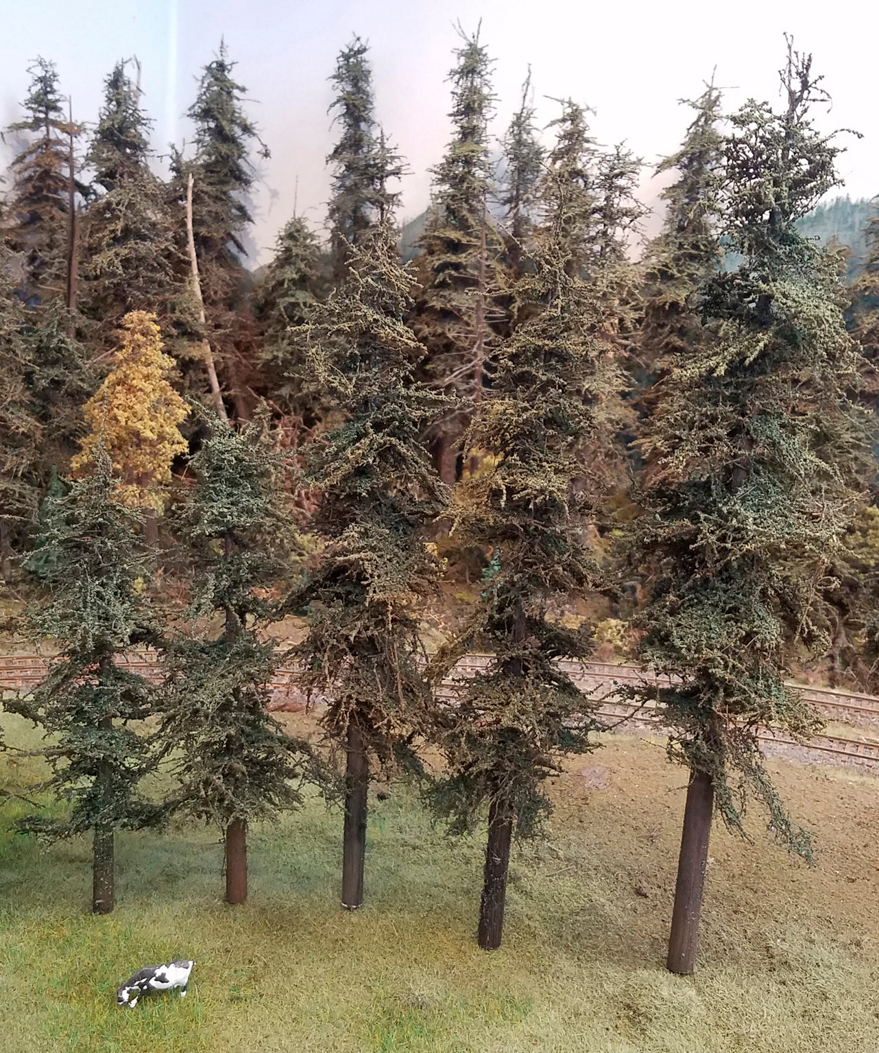 Variety Pak Fir Trees Kit