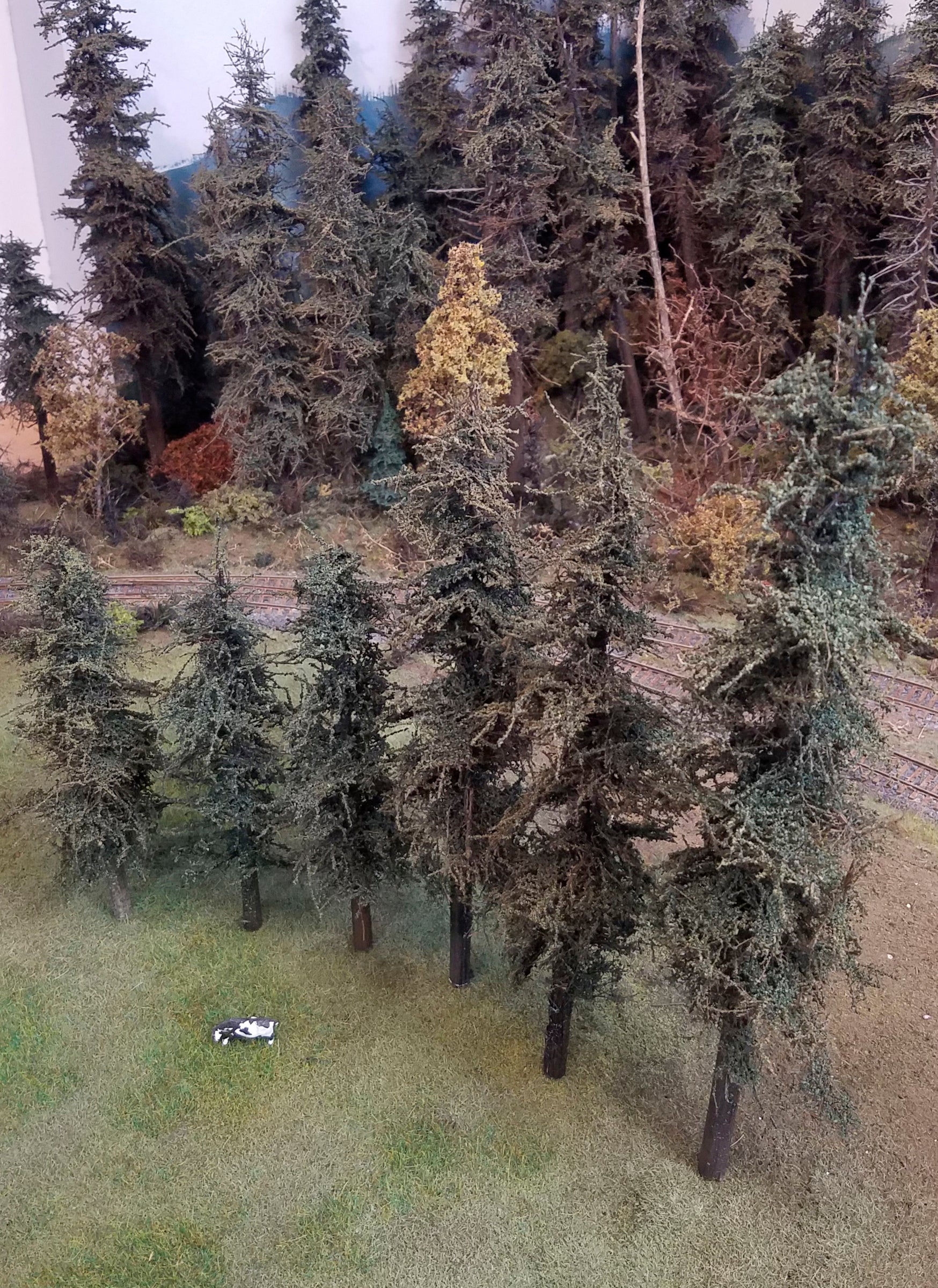 Variety Pak Fir Trees Kit