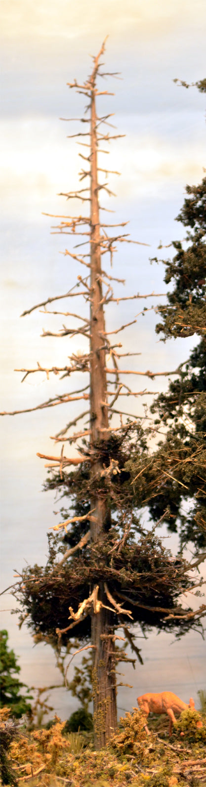 Tree Snaga Snag Trees Kit – Coastmans