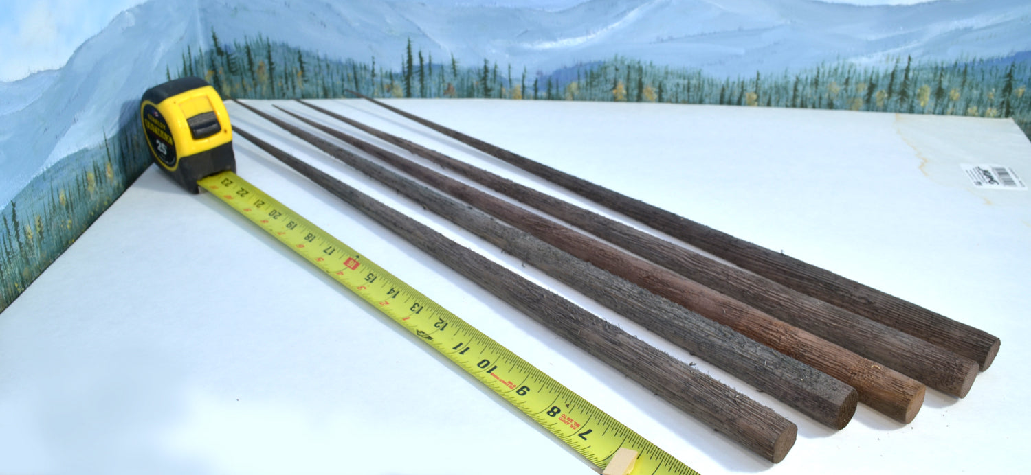 20-24 Inch Tall Old Growth Tree Trunk