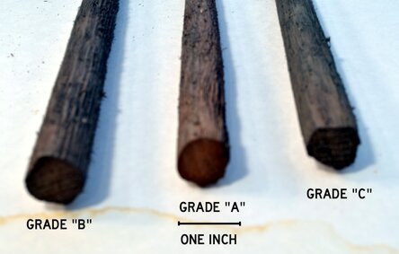 20-24 Inch Tall Old Growth Tree Trunk