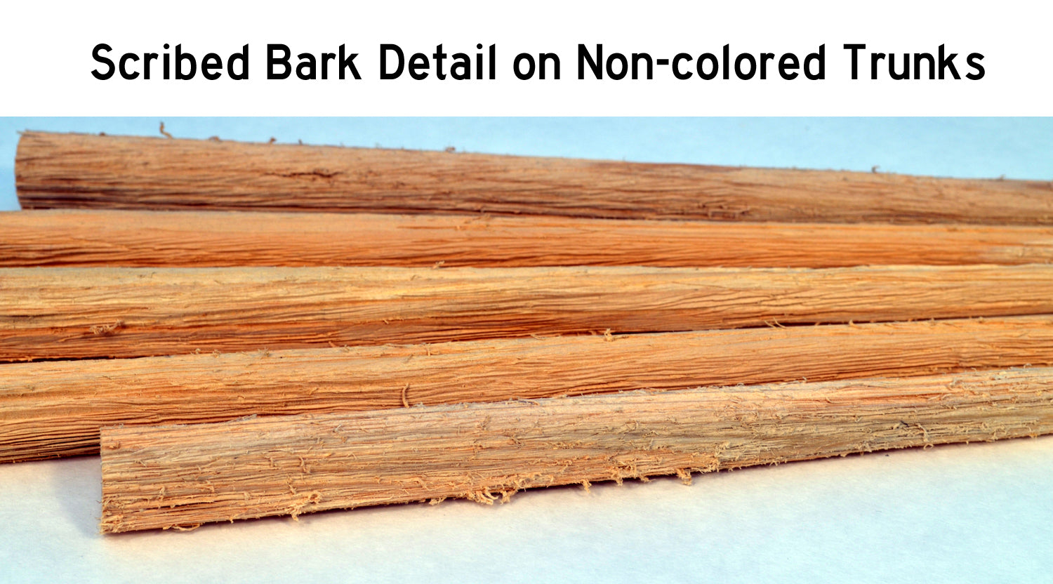 18-20 Inch Tall Old Growth Tree Trunk