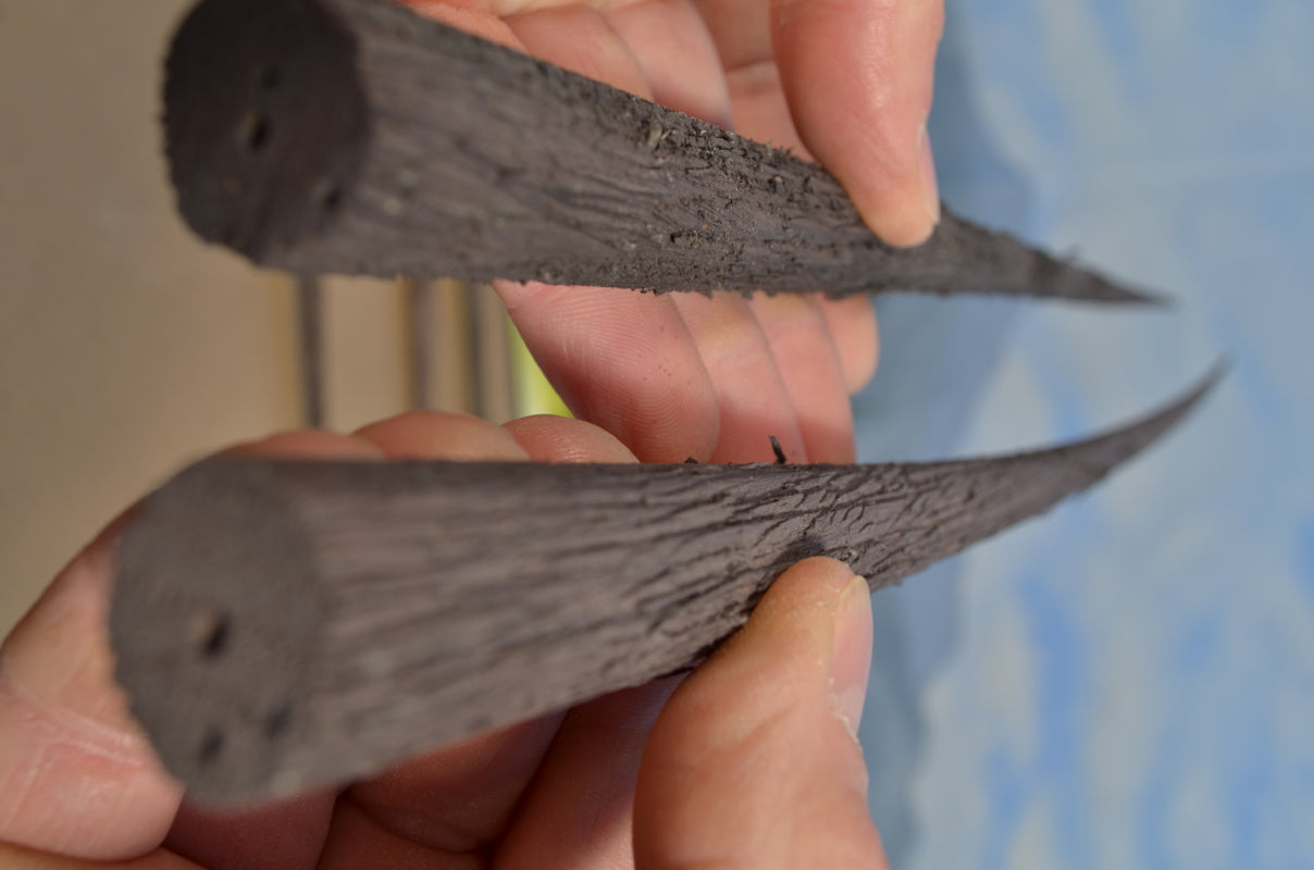 20-24 Inch Tall Old Growth Tree Trunk