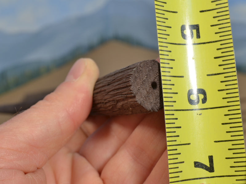 16-18 Inch Tall Old Growth Tree Trunk