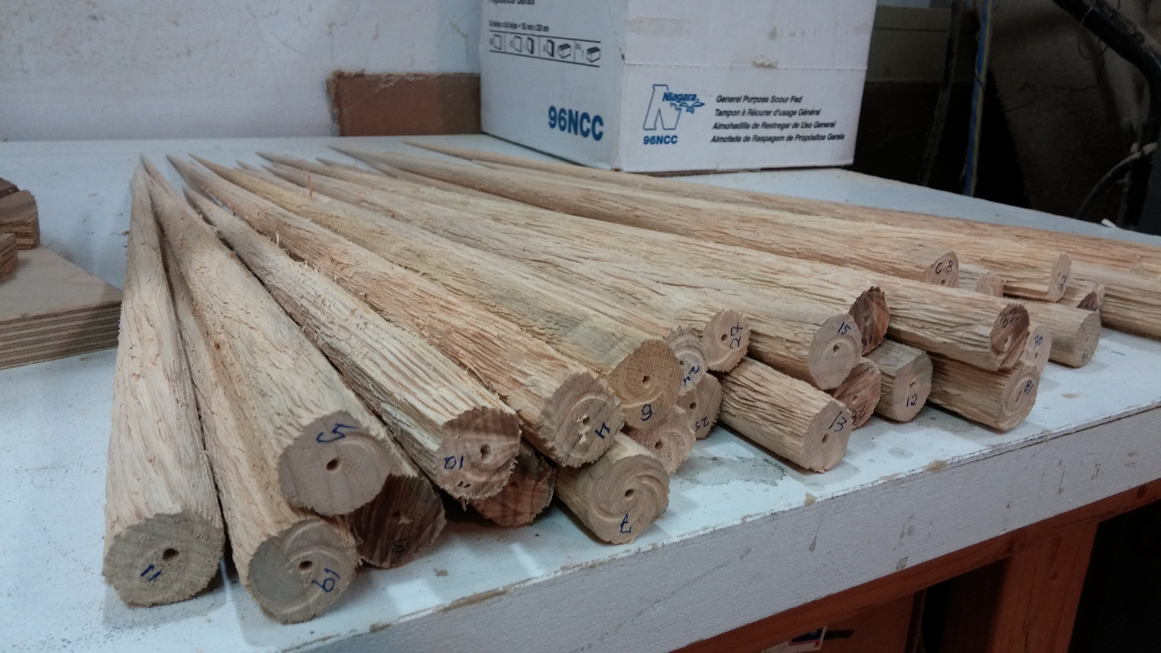 20-24 Inch Tall Old Growth Tree Trunk