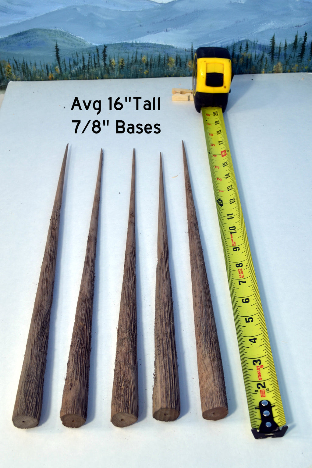 16-18 Inch Tall Old Growth Tree Trunk