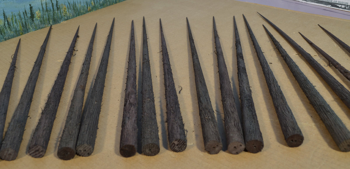 16-18 Inch Tall Old Growth Tree Trunk