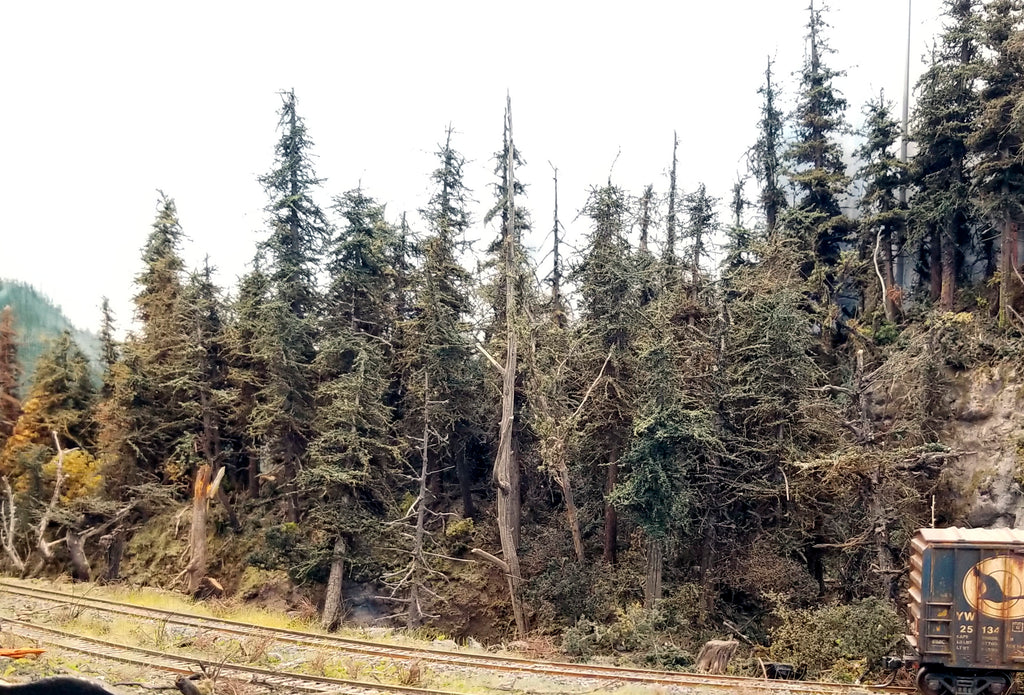 6 inch Second Growth Fir Trees Kit