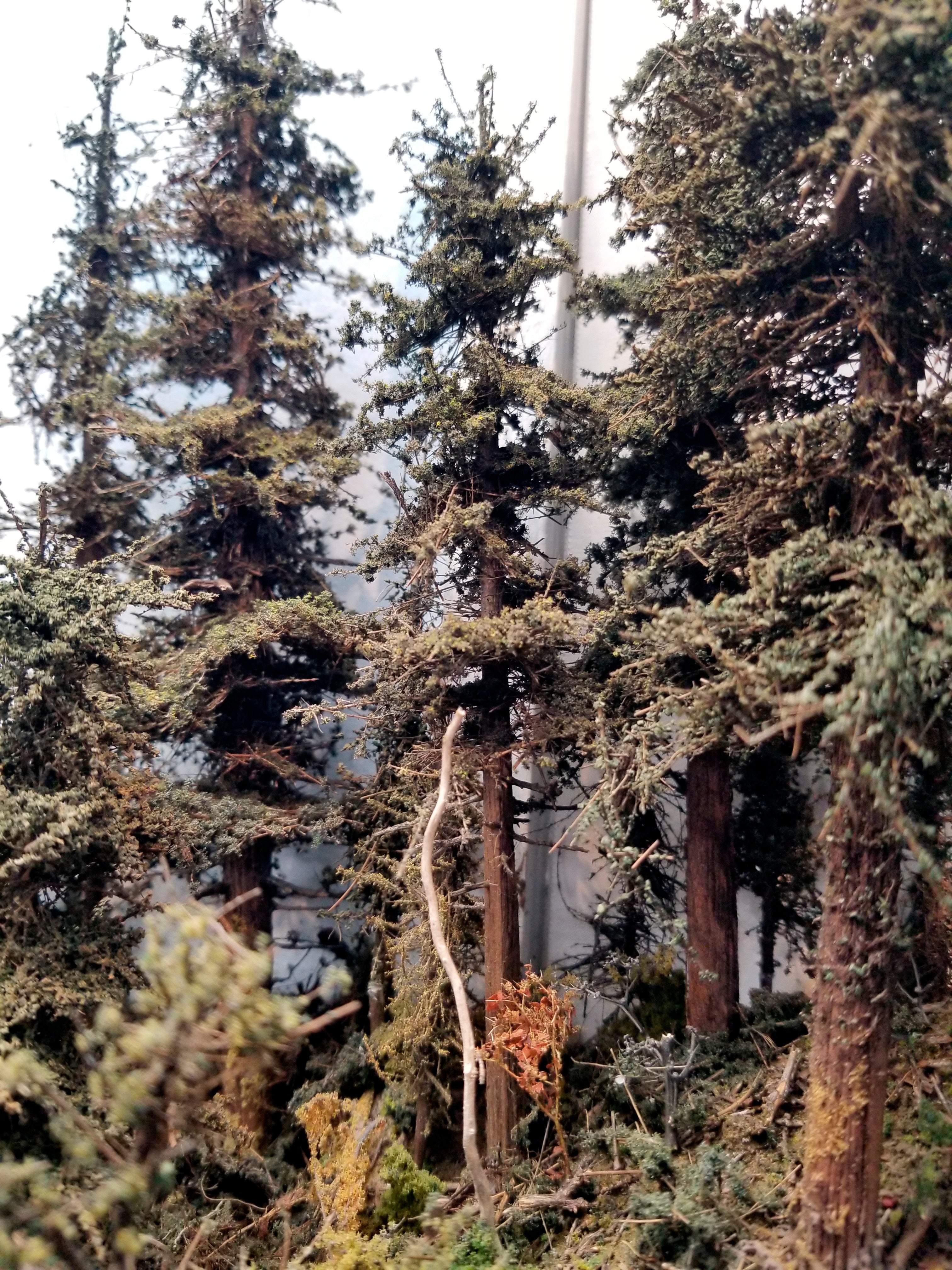 8 Inch Second Growth Fir Trees Kit