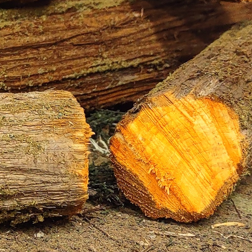 Large Log Cutoffs