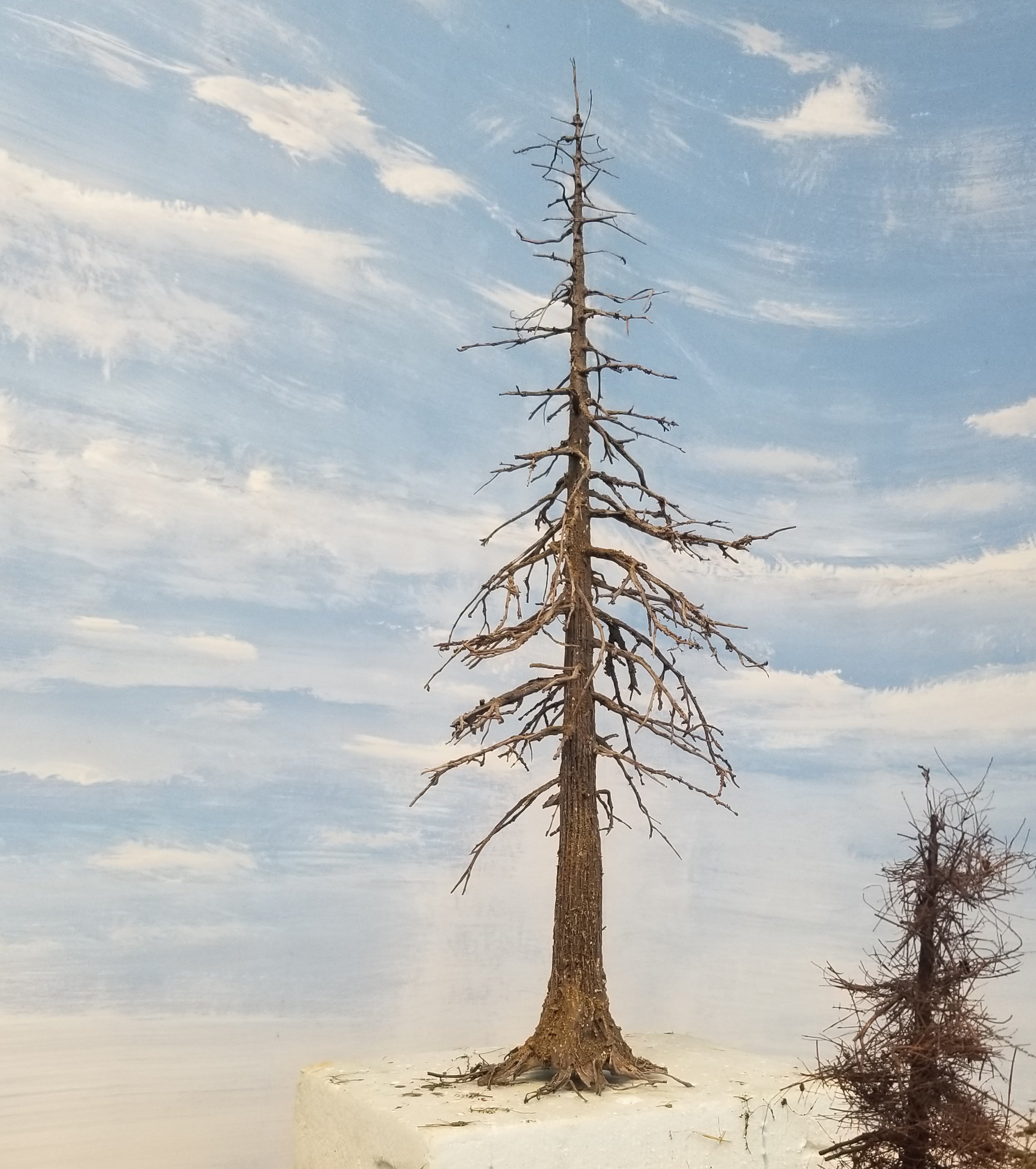 Snag Trees - 18 Inches